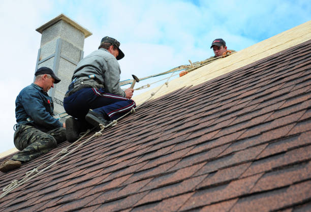 Best Emergency Roof Repair  in Plains, MT